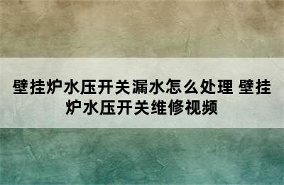 壁挂炉水压开关漏水怎么处理 壁挂炉水压开关维修视频